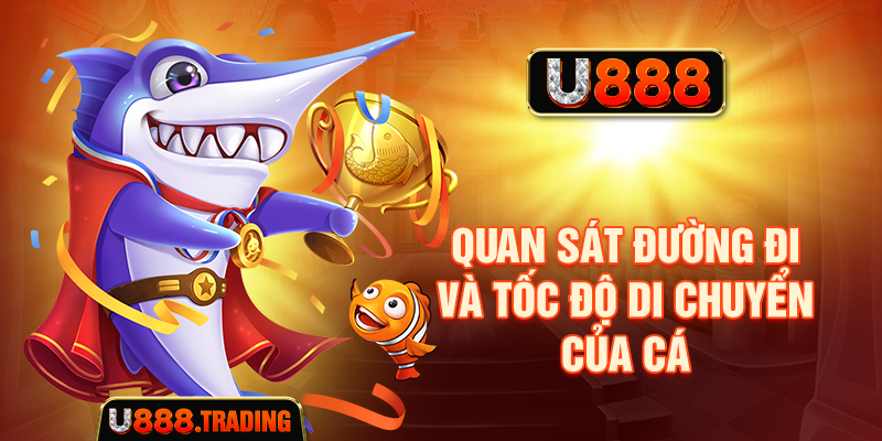 Quan sát đường đi và tốc độ di chuyển của cá